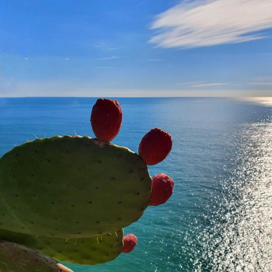 La Terrazza Sul Blu Lejlighed Corniglia Eksteriør billede