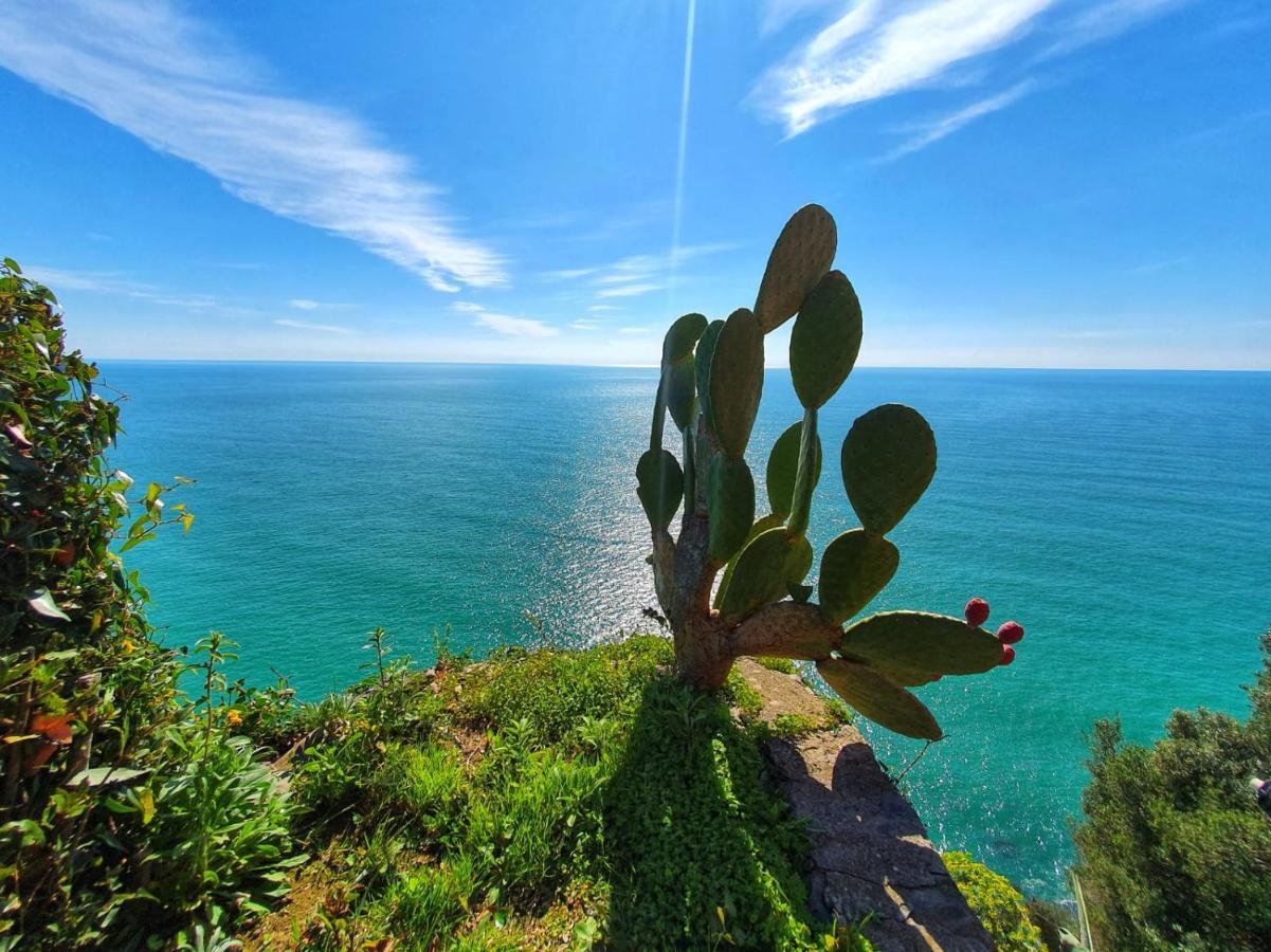 La Terrazza Sul Blu Lejlighed Corniglia Eksteriør billede