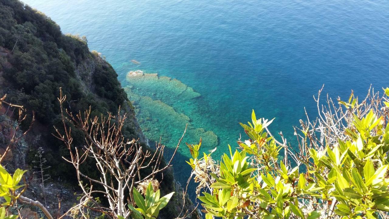 La Terrazza Sul Blu Lejlighed Corniglia Eksteriør billede