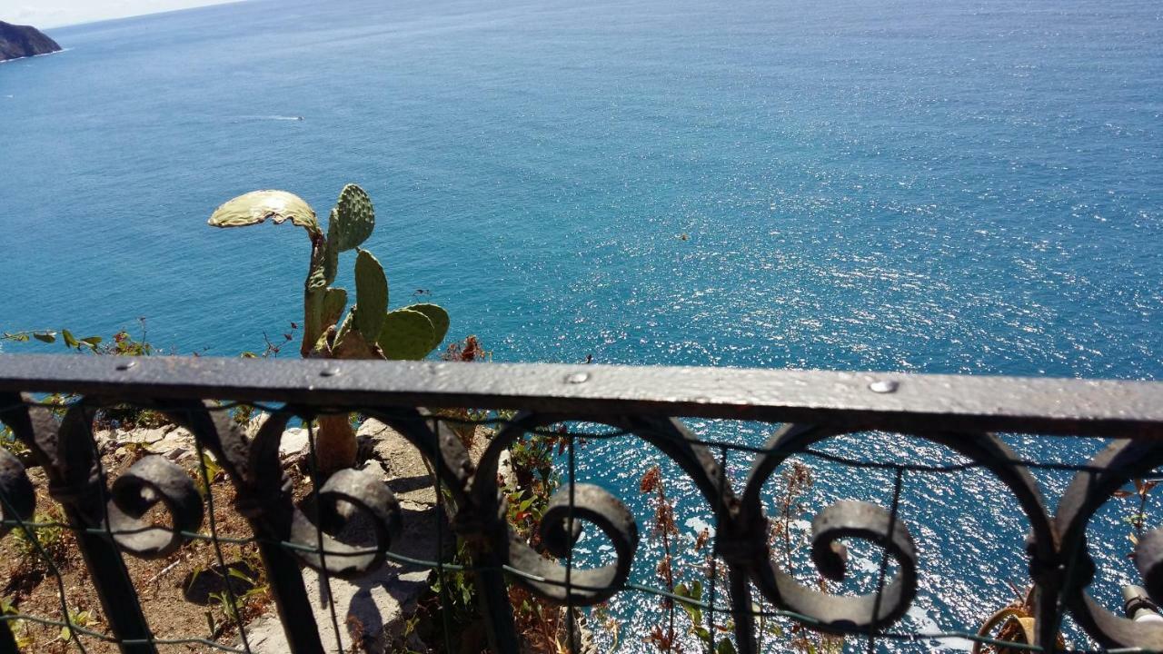 La Terrazza Sul Blu Lejlighed Corniglia Eksteriør billede