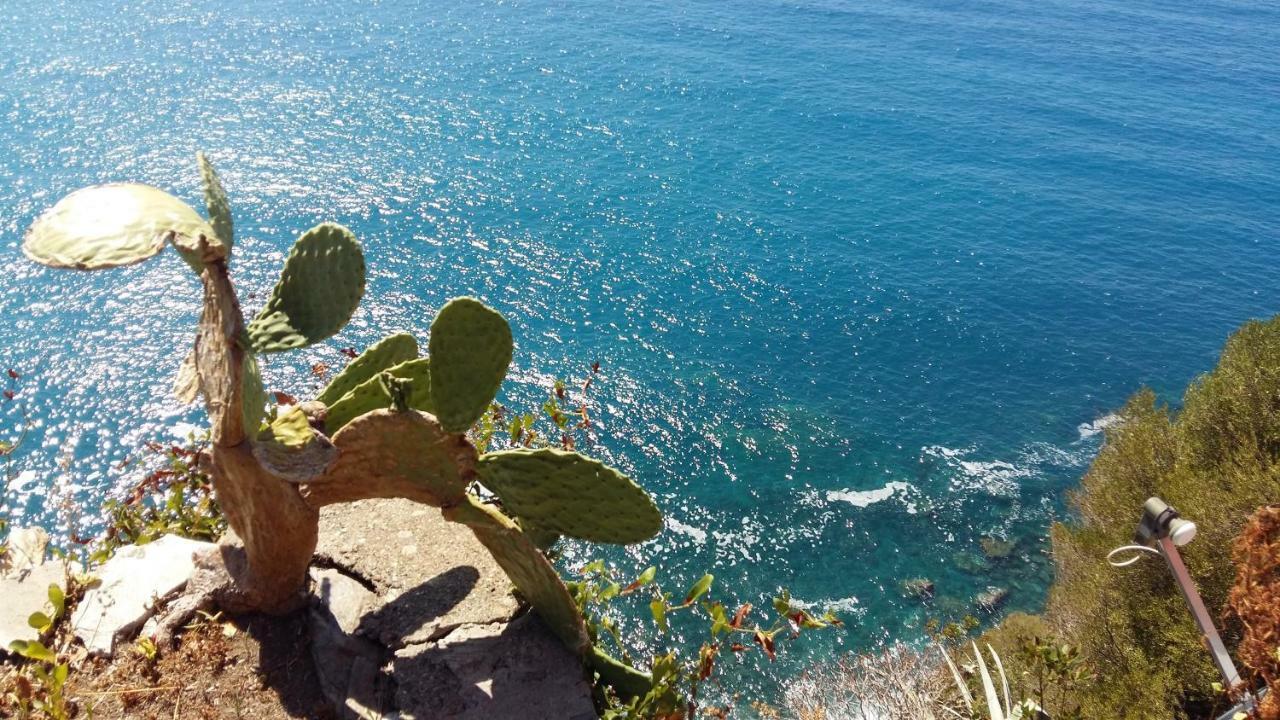 La Terrazza Sul Blu Lejlighed Corniglia Eksteriør billede